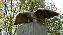 unbekannt: Adler (1903)